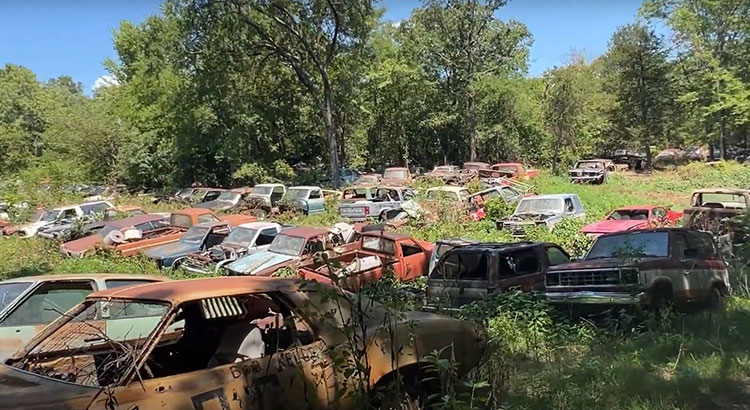 Auto Salvage in Arkansas