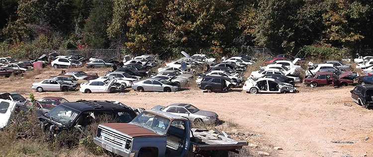 Tennison Auto Sales Salvage in Arkansas